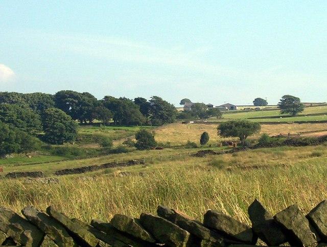 Meltham Moor