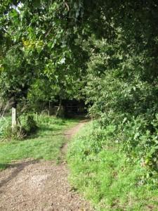 gateway to adventure