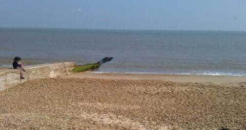 1338126176623.jpg image