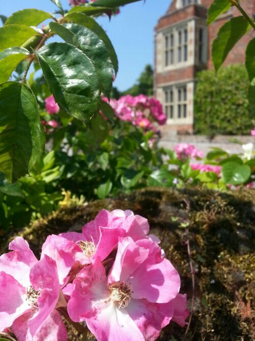 20130708_124652_edit0.jpg image