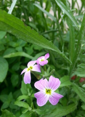 20130720_161236_edit0.jpg image