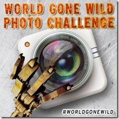 Photo Challenge2