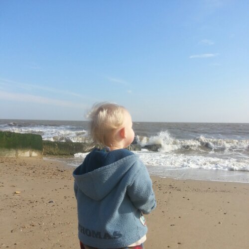 IMG_20131001_171522.jpg image