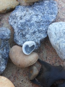 beach treasure