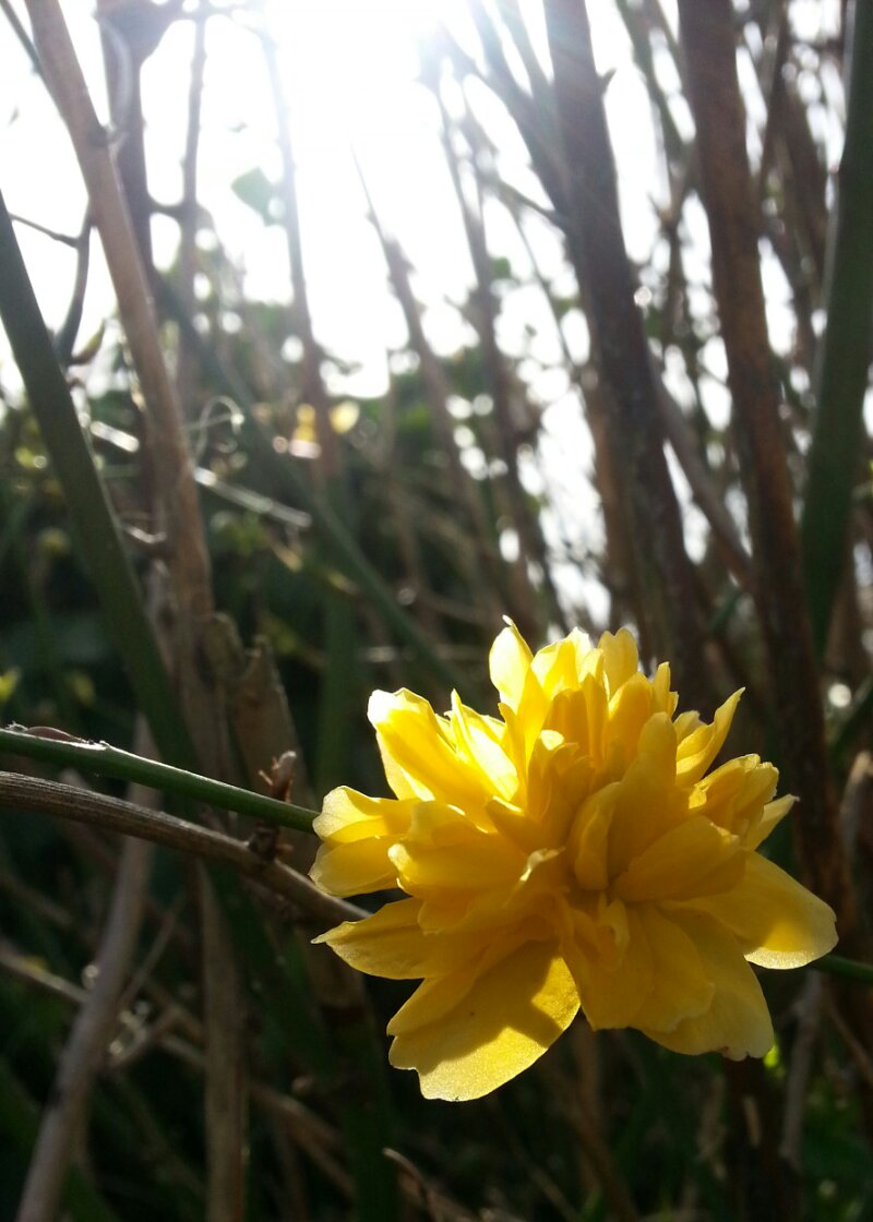 PSX_20140302_122815.jpg image