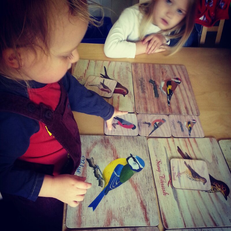 IMG_20140402_233255.jpg image