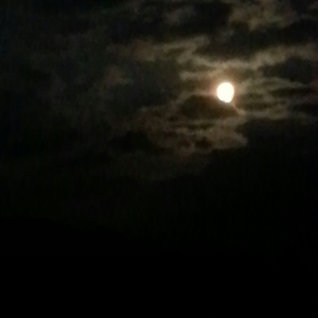 IMG_20140613_225354.jpg image