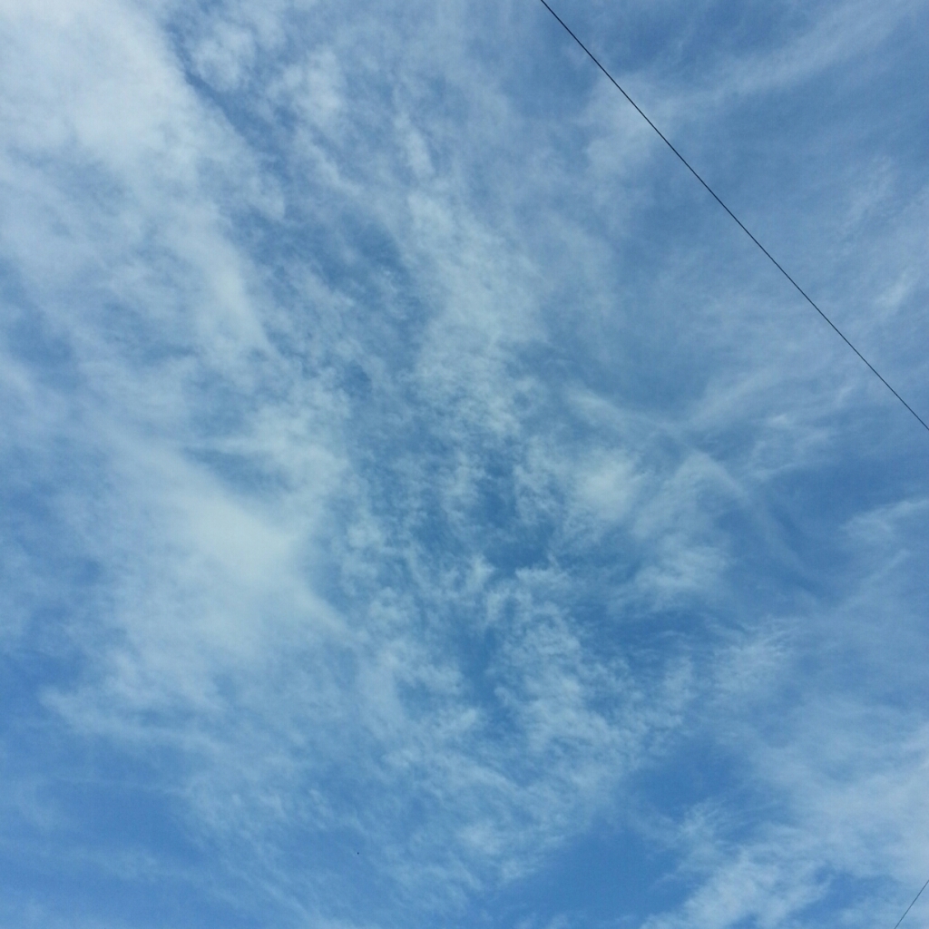 IMG_20140719_160252.jpg image