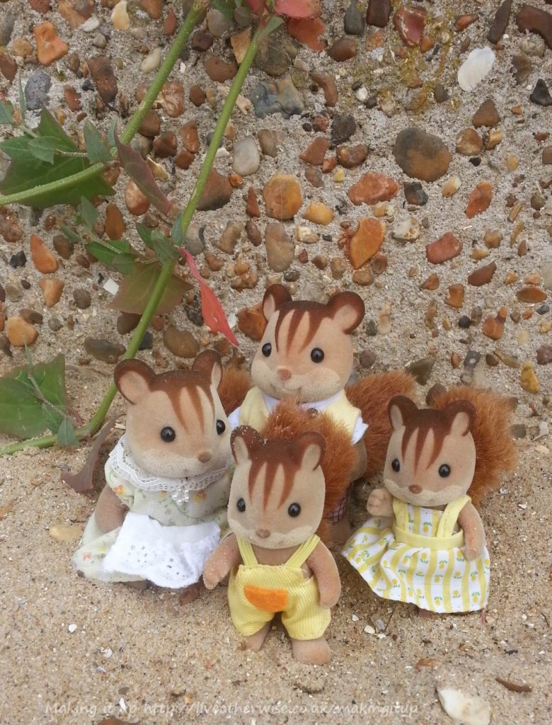 sylvanians at the beach
