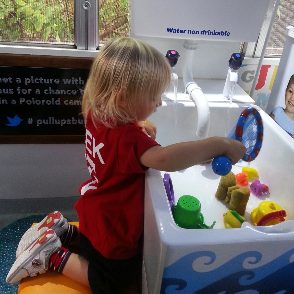 IMG_20140918_111658.jpg image