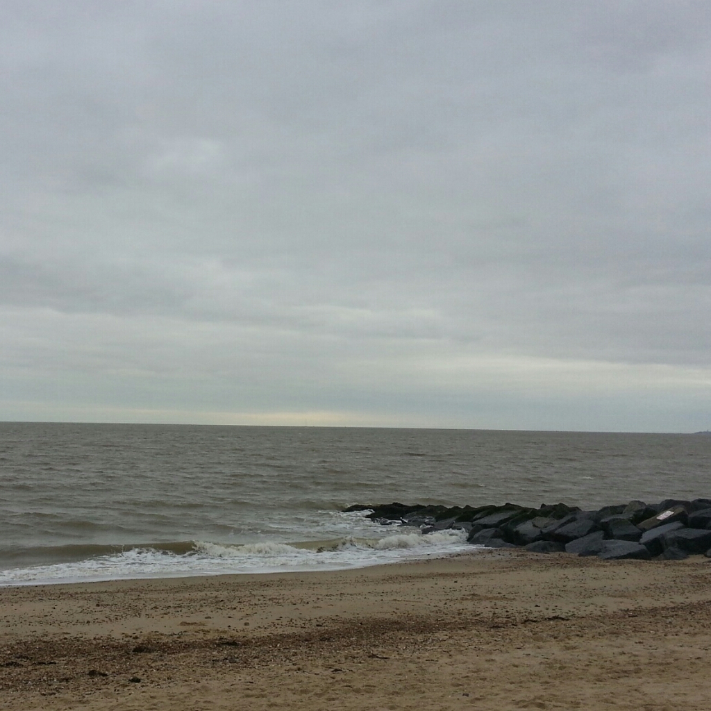 IMG_20141026_152949.jpg image