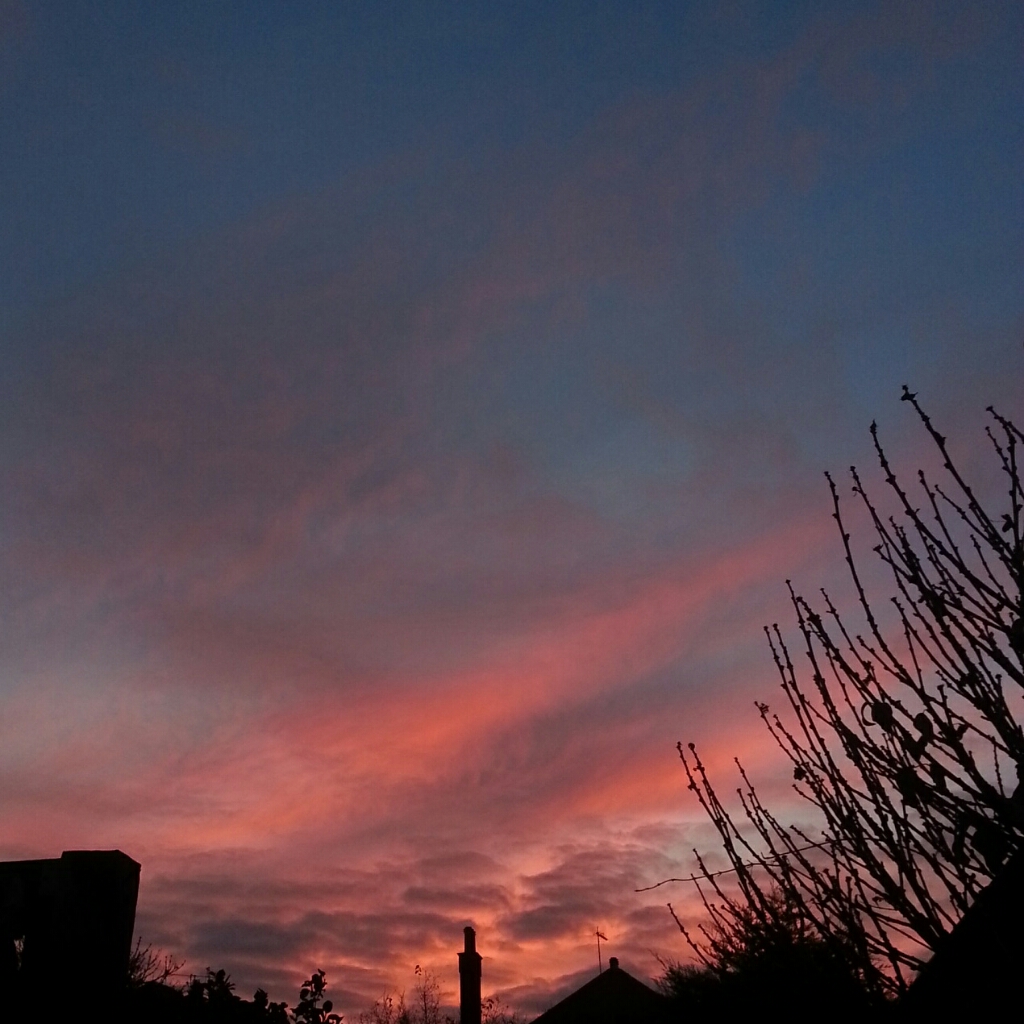 IMG_20141026_173039.jpg image