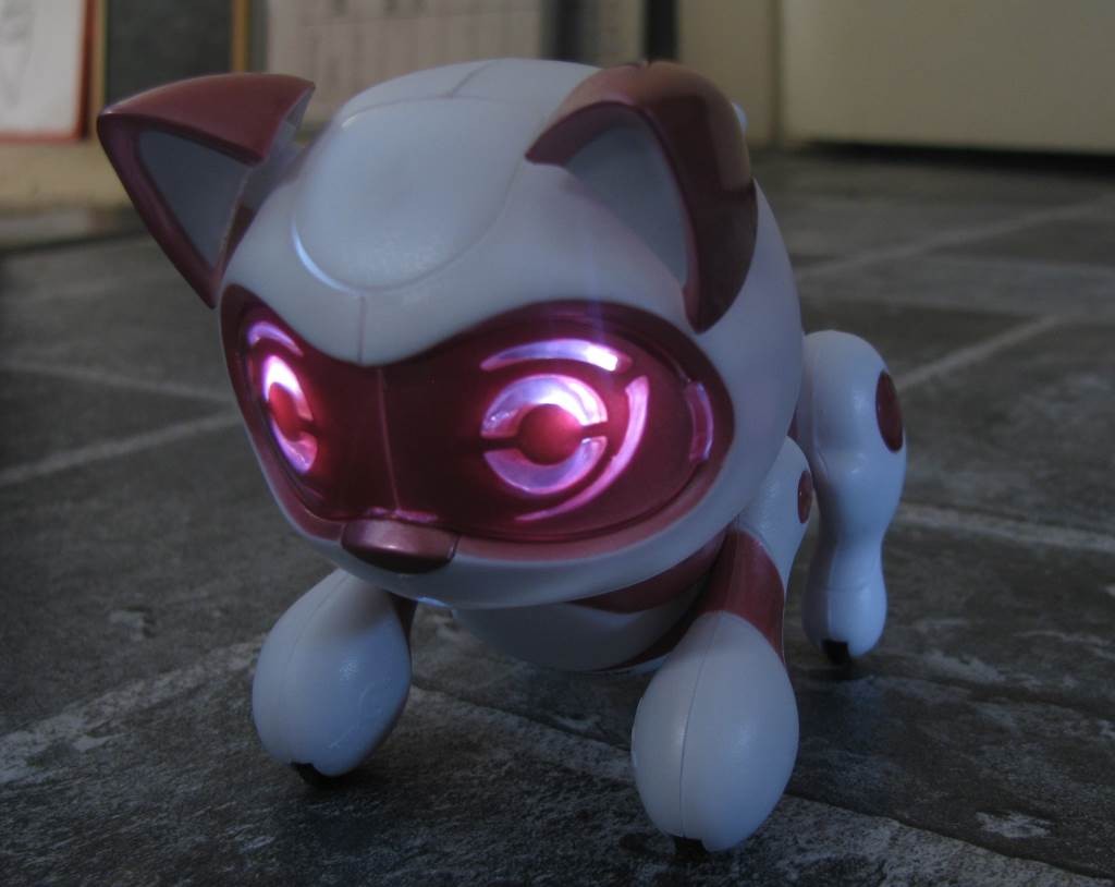 Teksta newborn kitty