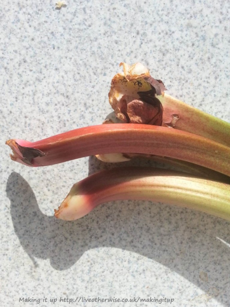 rhubarb stalks