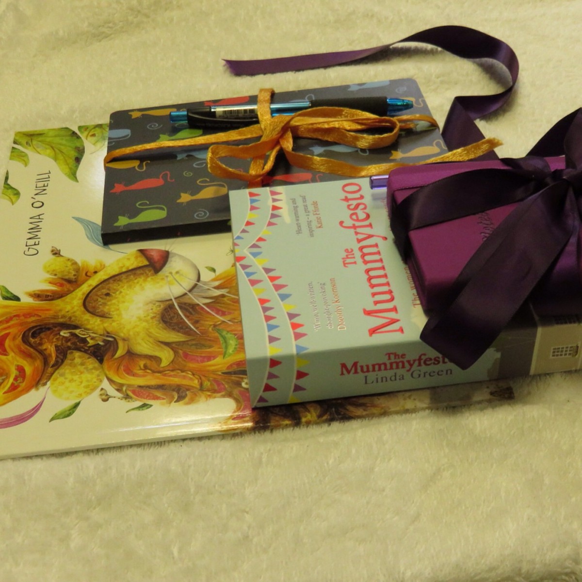 Mummyfesto and Monty's magnificent mane with notebooks