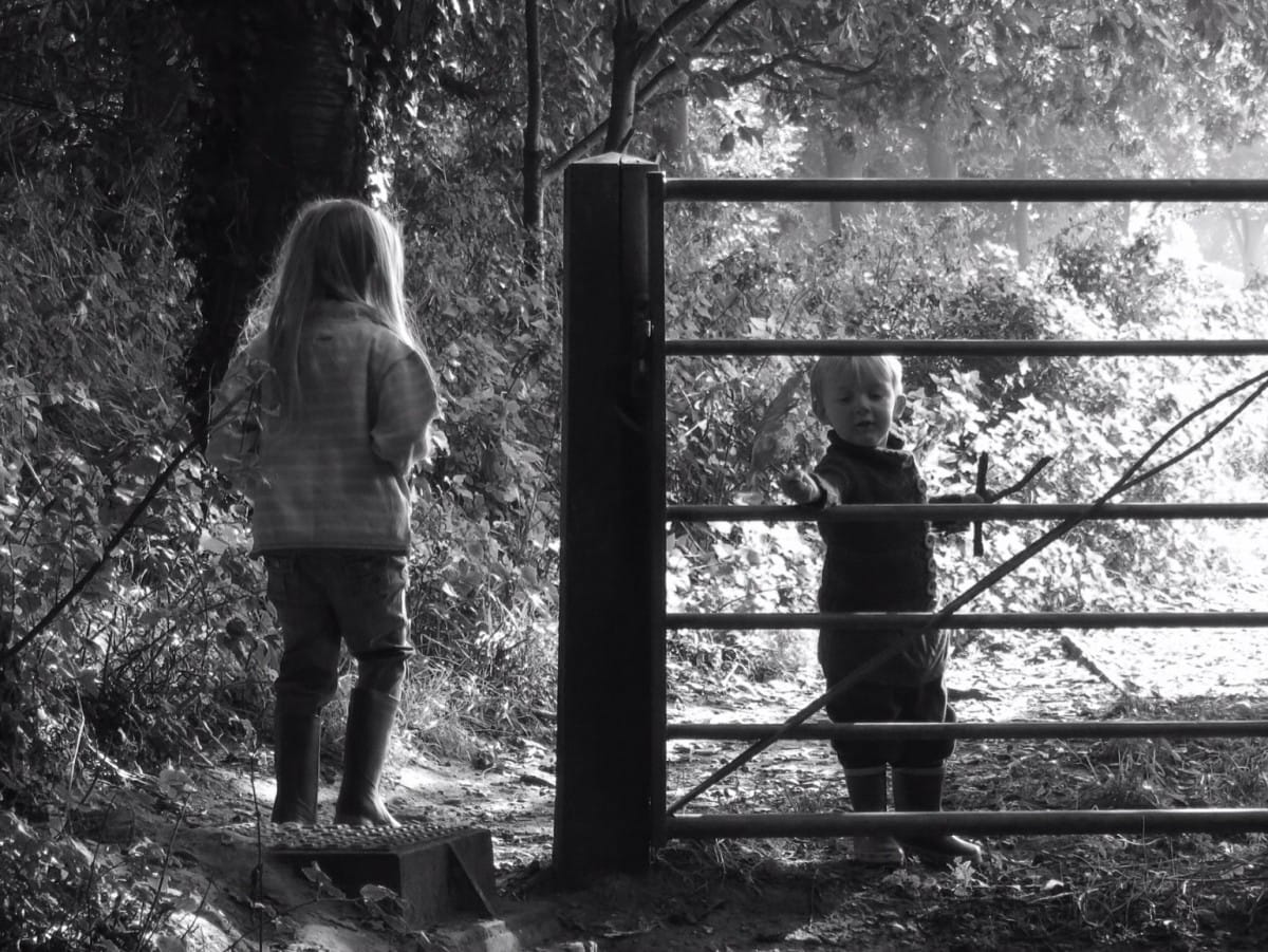 Saturday snippets 3 October 2015