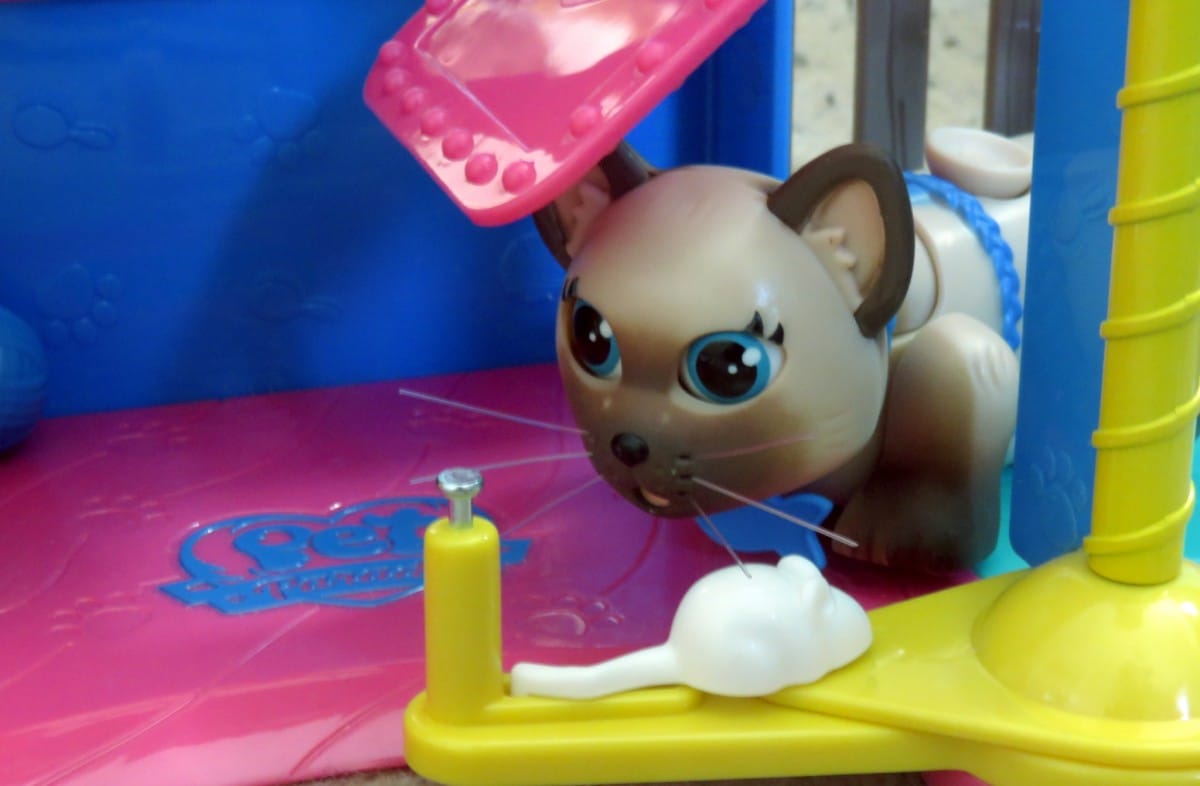 Pet Parade play garden with exclusive kitten.