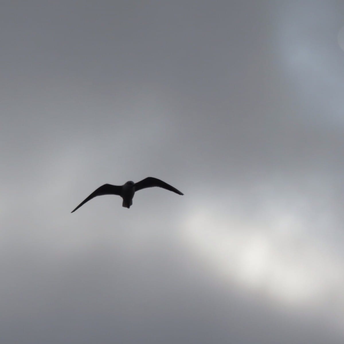 On being OK and not OK