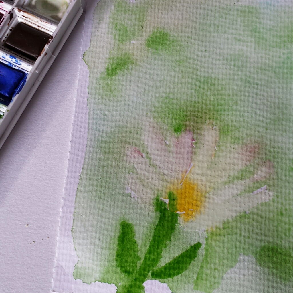 IMG_4svrlj.jpg image