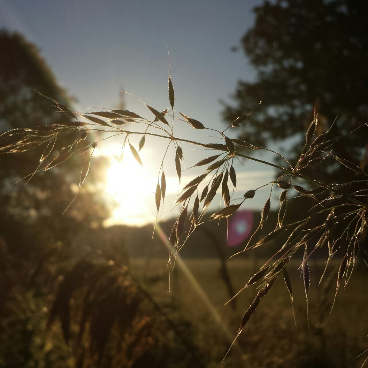 It's a beautiful day