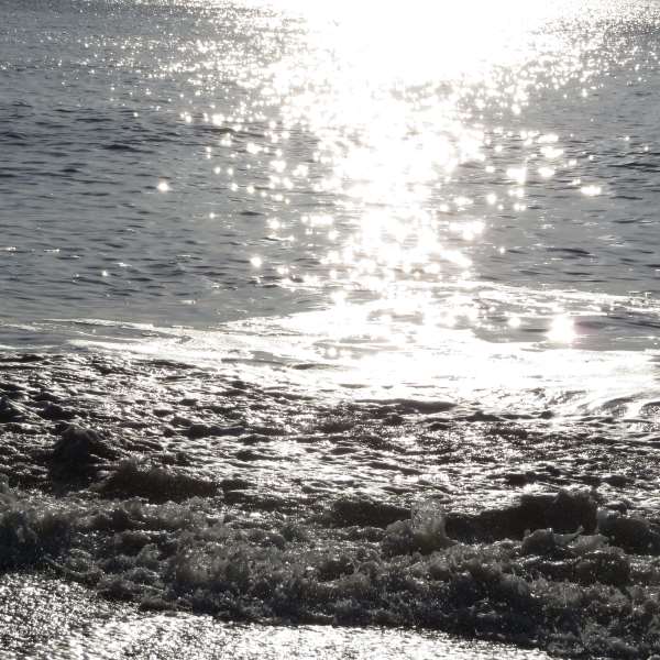 Autistic burnout/ regression/ inertia – it's not just me.