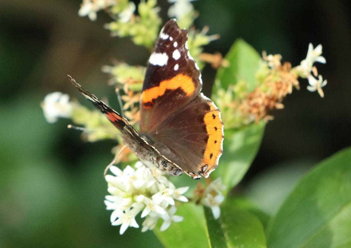 How do you deal with change when it's you that's changing?